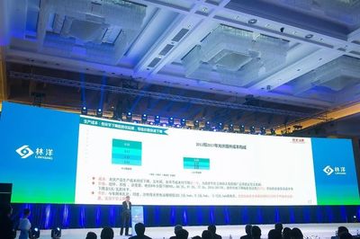 引領N型技術新浪潮，林洋能源發布高效N型單晶雙面組件