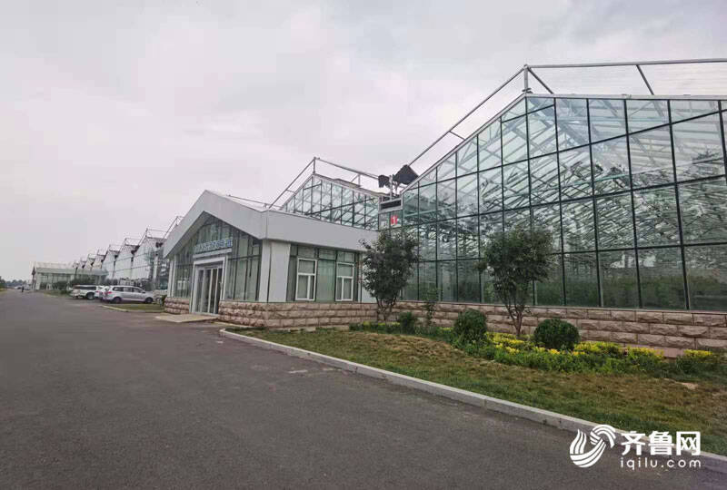 高端智庫看山東 如何豐富“壽光模式”內涵？專家支招 結合新發展機遇，用數字經濟賦能產業，推廣新材料技術