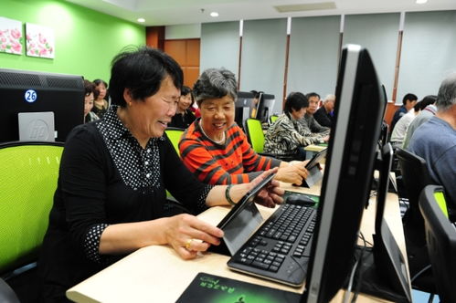 聚焦五大功能，賈煒為上海學習型城市建設注入高質量教育咨詢服務新動能